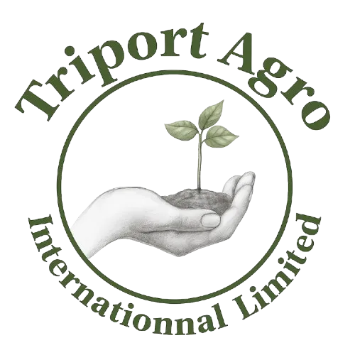 Triport Agro International
