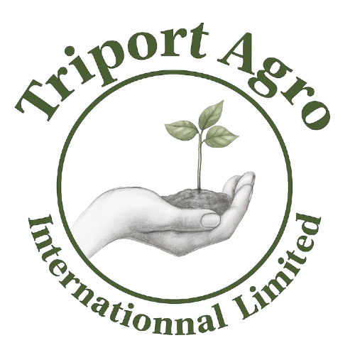 Client logo