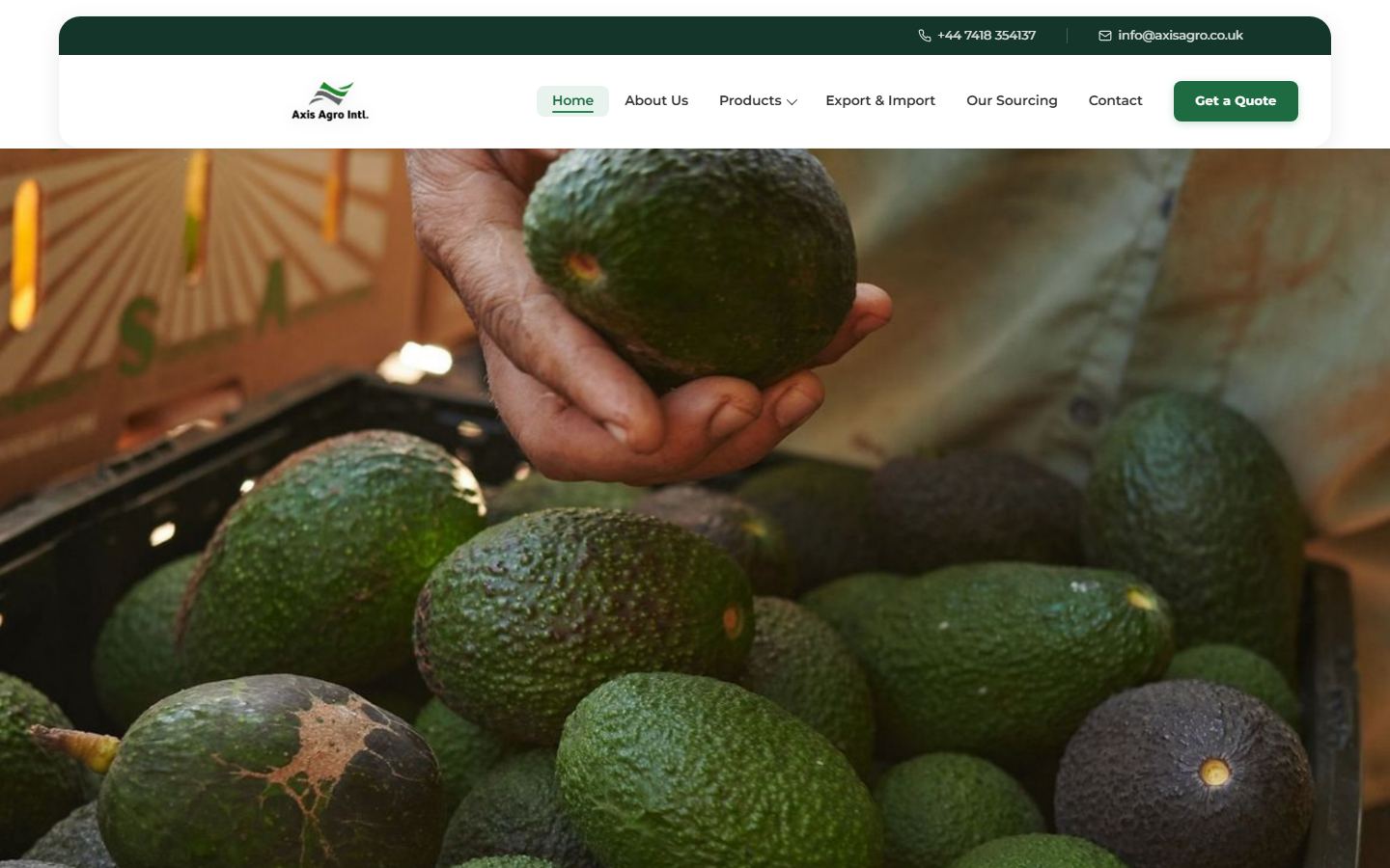 Axis Agro International desktop screen 1