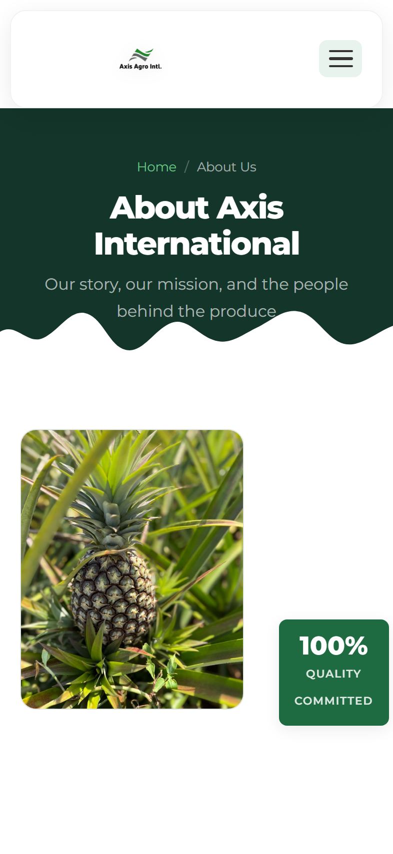 Axis Agro International mobile screen 3